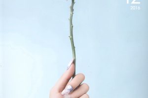 [81] Nailholic_Dec_2016